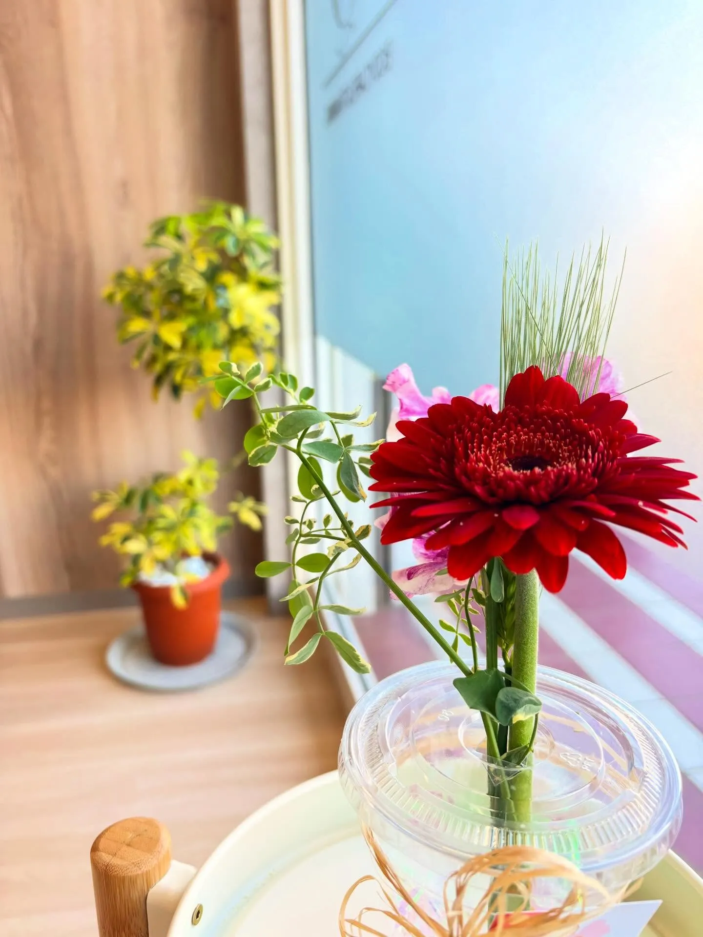 適度な運動の「適度」とはどれくらい？